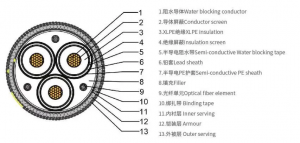 图foto 2